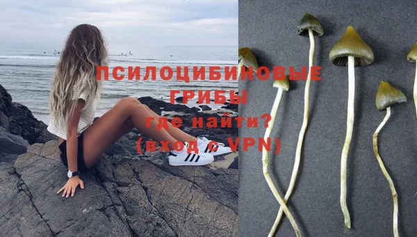 индика Горнозаводск
